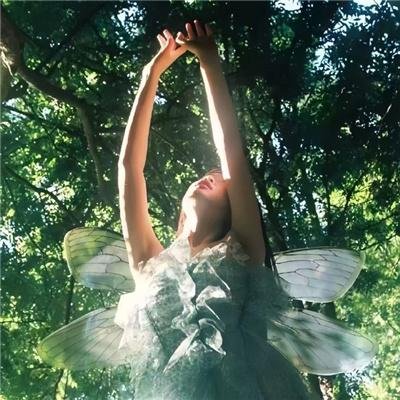 实习医生格蕾第十一季